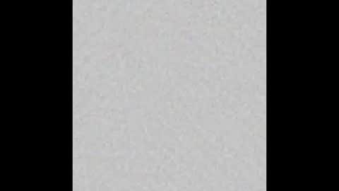 Snapshot of osolicencioso chatting on November 25, 3:06 am Oso Licencioso online show from November 25, 3:06 am