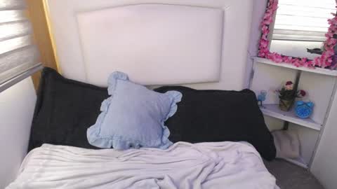 Palmer online show from December 28, 4:20 pm