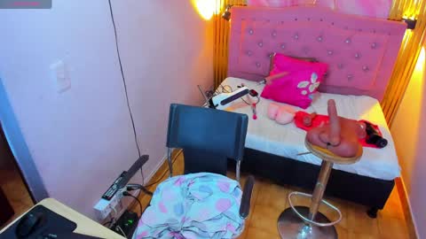 PALOMA 3 online show from April 1, 11:33 am