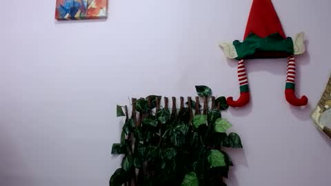 Pamela Claus online show from December 30, 3:46 pm