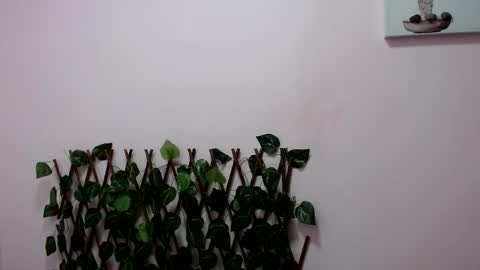 Snapshot of pamela_claus chatting on January 30, 12:18 am Pamela Claus online show from January 30, 12:18 am