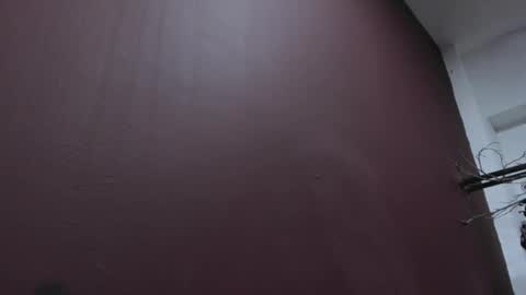  P A M  online show from October 19, 4:24 am