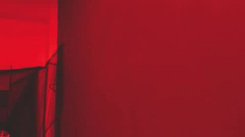  P A M  online show from November 1, 4:03 am