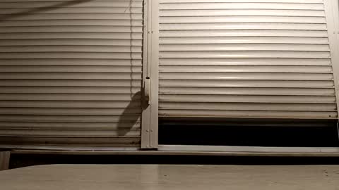 angel hris online show from December 3, 5:11 pm