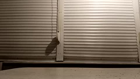 angel hris online show from February 4, 5:08 pm