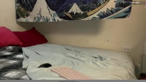 Snapshot of pantslesstraveler_plt chatting on December 16, 6:24 pm PantsLessTraveler online show from December 16, 6:24 pm