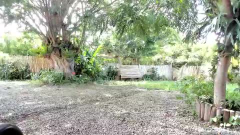 paoguerrax354 online show from October 19, 6:41 pm