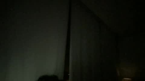 Snapshot of paolo365 chatting on November 8, 9:13 pm LaRocca online show from November 8, 9:13 pm