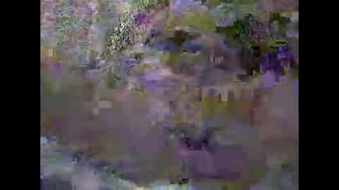 anytimeuwant online show from February 3, 12:32 pm