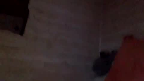 Pati24 online show from February 26, 10:25 am