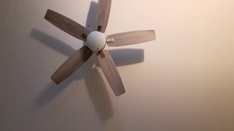 Snapshot of patrick247288 chatting on September 18, 4:25 am patrick247288 online show from September 18, 4:25 am