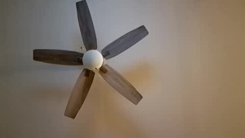 Snapshot of patrick247288 chatting on November 7, 6:13 am patrick247288 online show from November 7, 6:13 am