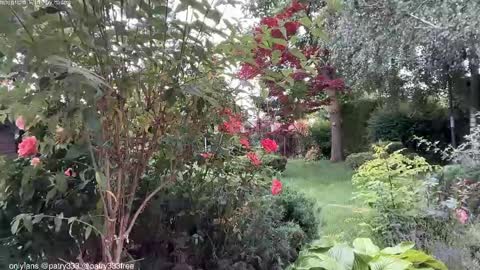 Snapshot of patry333 chatting on June 4, 5:57 am Andreea online show from June 4, 5:57 am