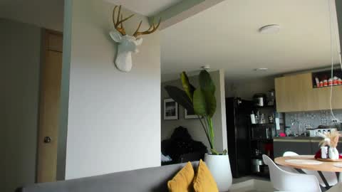 Paul online show from April 10, 4:55 pm