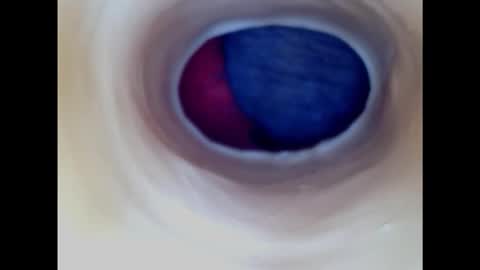 Paula 18 Aninhos online show from January 18, 5:04 pm