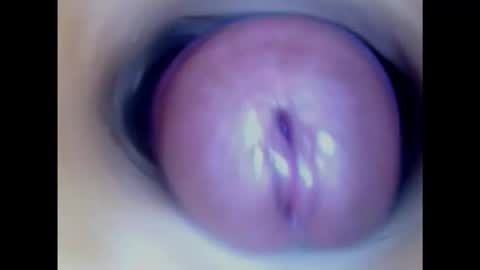 Paula 18 Aninhos online show from January 23, 1:51 am