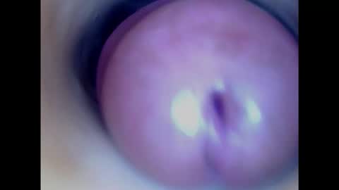 Paula 18 Aninhos online show from January 29, 2:51 am