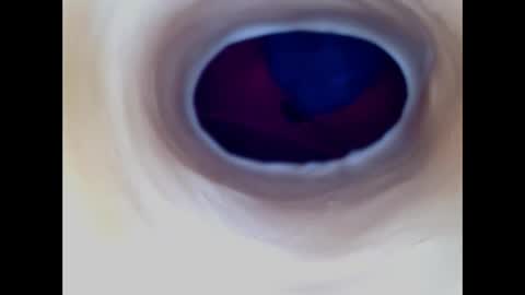 Paula 18 Aninhos online show from December 17, 5:57 am