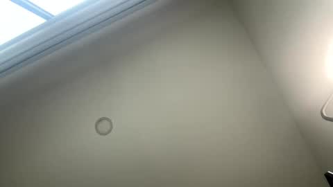 Snapshot of pavlovacoluccii_ chatting on March 6, 3:41 pm Suscribe to onlyfans online show from March 6, 3:41 pm