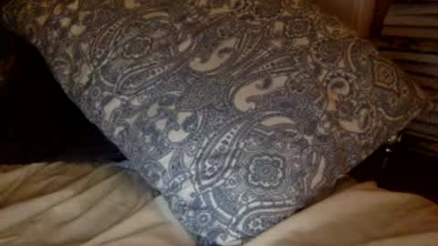 pea23 online show from February 27, 11:38 pm