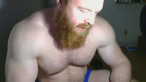 Pec inspector online show from February 14, 5:41 am