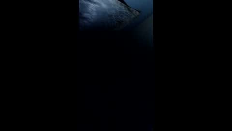 Snapshot of pedrjhon982 chatting on March 23, 2:04 am pedrjhon982 online show from March 23, 2:04 am