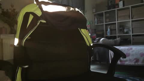 Snapshot of peregrintpelfox chatting on December 16, 10:20 am peregrintpelfox online show from December 16, 10:20 am