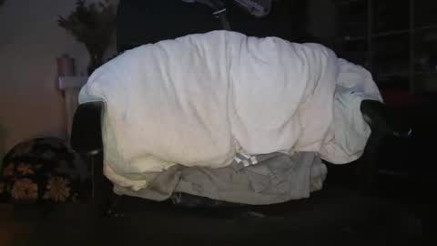 Snapshot of peregrintpelfox chatting on January 6, 7:01 am peregrintpelfox online show from January 6, 7:01 am