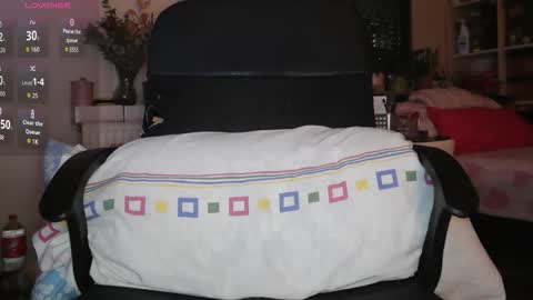 Snapshot of peregrintpelfox chatting on February 3, 8:30 am peregrintpelfox online show from February 3, 8:30 am