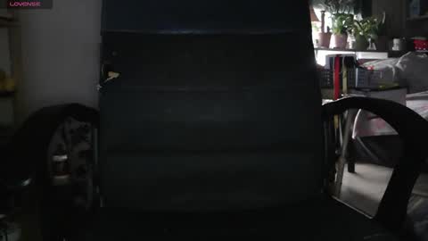 Snapshot of peregrintpelfox chatting on February 4, 9:04 am peregrintpelfox online show from February 4, 9:04 am