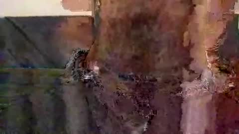 perfectFTM online show from November 12, 8:52 pm