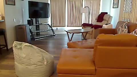 perfecto1957 online show from December 3, 7:55 pm