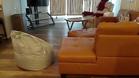 perfecto1957 online show from December 7, 7:10 pm