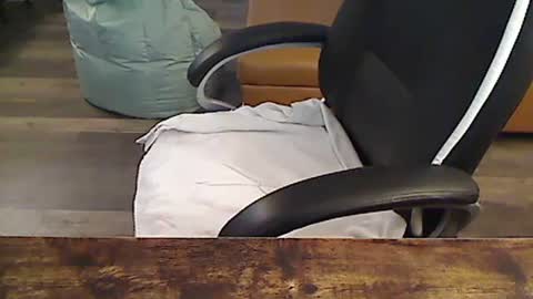 perfecto1957 online show from September 30, 2:22 pm