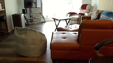 perfecto1957 online show from October 10, 5:56 pm