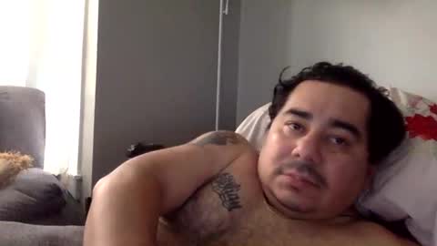 Snapshot of perro2010joshua chatting on January 11, 3:52 pm perro2010joshua online show from January 11, 3:52 pm