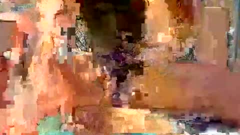 perryf online show from May 9, 9:14 am
