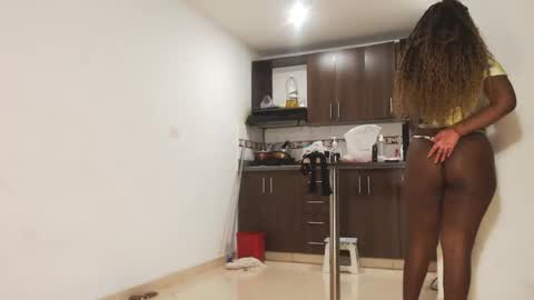 Snapshot of petarda333 chatting on January 8, 12:24 am kamila online show from January 8, 12:24 am