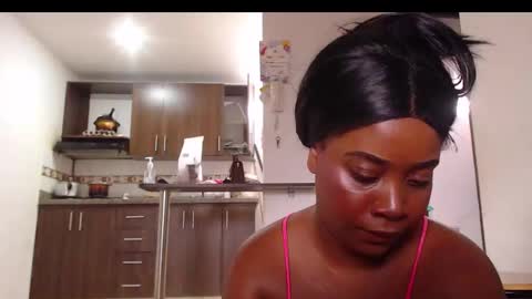 Snapshot of petarda333 chatting on January 13, 6:57 pm kamila online show from January 13, 6:57 pm