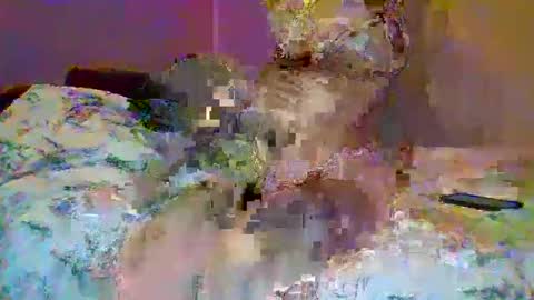 Snapshot of petite_baby23 chatting on May 23, 10:36 pm petite_baby23 online show from May 23, 10:36 pm