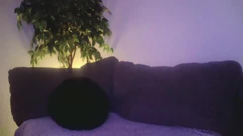 petite treat  online show from December 19, 10:56 am