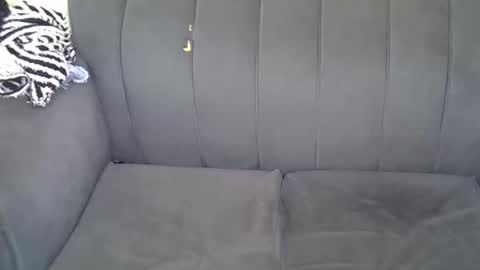 Snapshot of petitekittyy chatting on June 11, 1:49 am Kitty online show from June 11, 1:49 am