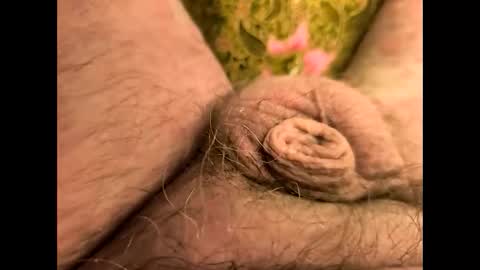 petrol63102 online show from April 8, 7:08 am