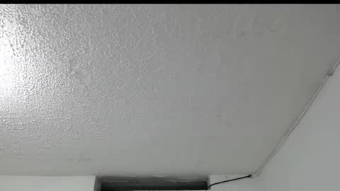 Snapshot of peytonbrunette chatting on April 5, 4:31 am Dulce online show from April 5, 4:31 am