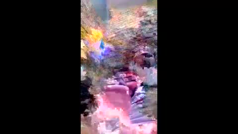 Snapshot of pezzabigcock chatting on February 17, 7:27 am pezzabigcock online show from February 17, 7:27 am