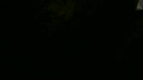 Snapshot of pglsmm chatting on January 19, 1:32 am pgls online show from January 19, 1:32 am