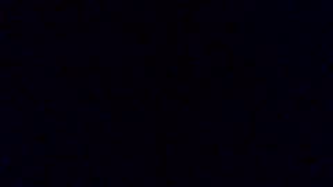 pickledalivemrf online show from February 19, 3:46 am