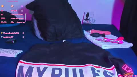  Eddy Brock... Its a pleasure to talk to...  online show from February 10, 6:28 am