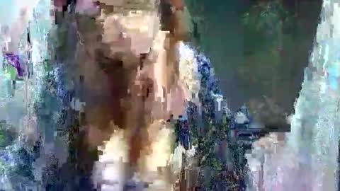 Carol online show from May 11, 3:45 am
