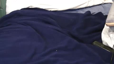 pinewoodman online show from October 19, 2:34 am